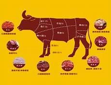 牛身上各部位肉名称