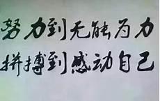 形容人生美好的成语