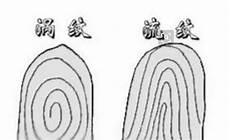 男人十个簸箕好不好