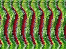 三维立体画欣赏