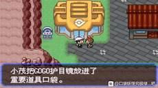 究极绿宝石小火龙性格