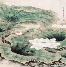 国画荷花入门教程视频