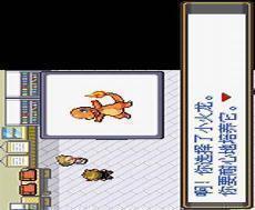 火红菊石兽进化