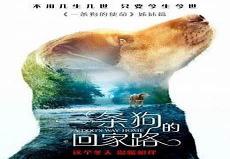 足球小将经典壁纸